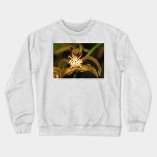 Orchid Macro Crewneck Sweatshirt